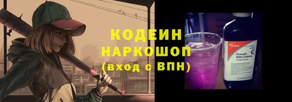 2c-b Новозыбков