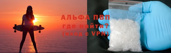 PSILOCYBIN Новокубанск