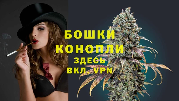 PSILOCYBIN Новокубанск
