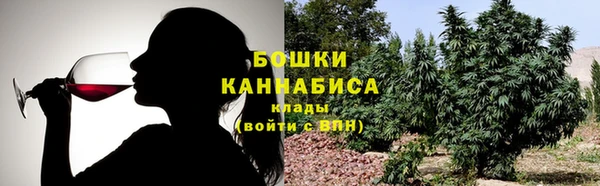 2c-b Новозыбков