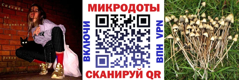 Псилоцибиновые грибы ЛСД  Балашиха 